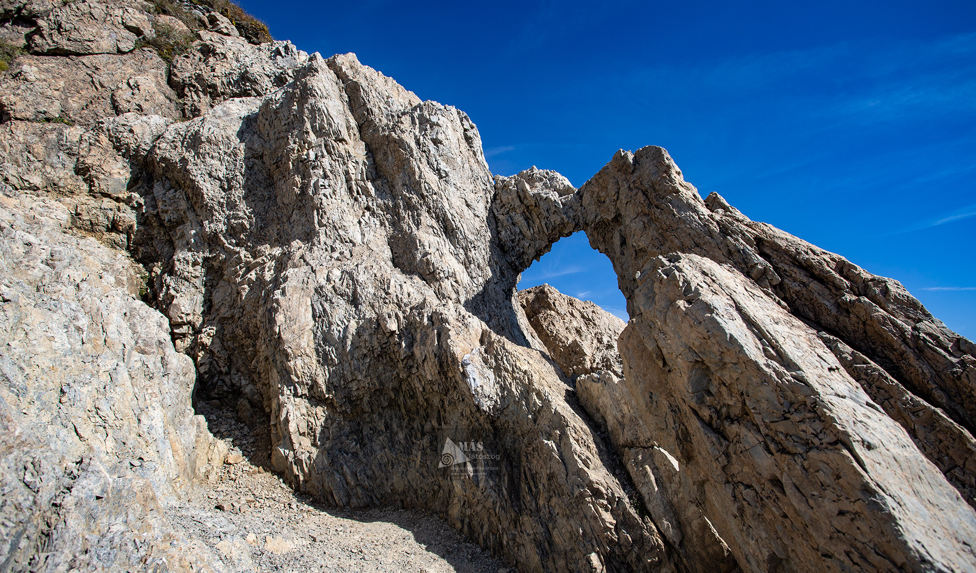 IMG 6449Neagu Adrian Fogari Havasok maslatoszog Muntii Fagaras